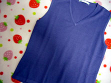 サンガ紫ベスト