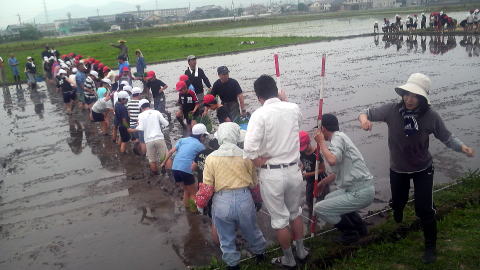 厚南小学校・田植え