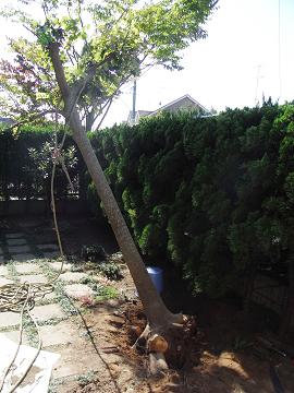 やっと倒れた！