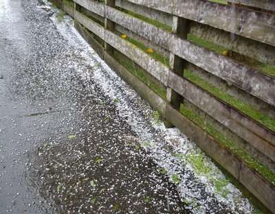 Hailstones beside driveway