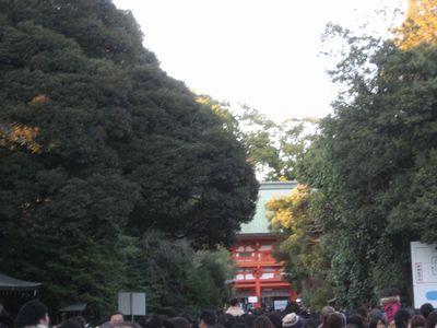 氷川神社３.jpg