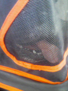 お盆帰省 (2).jpg