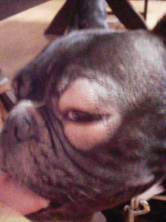 お盆アレルギー (2).jpg