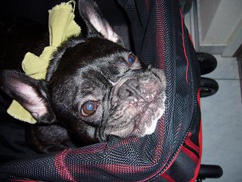 お盆帰省後 (3).JPG