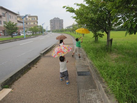 小雨の傘散歩