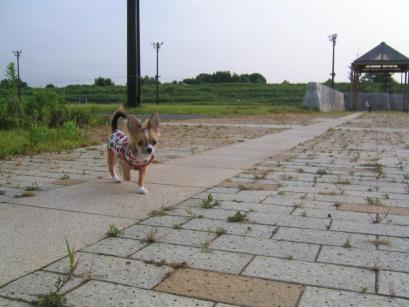 公園　カメラ目線