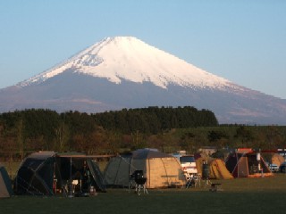 やまぼうしから見た富士山.JPG