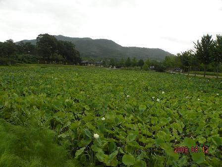 第５回子連れ韓国旅行寄り道付 298縮小済み.JPG