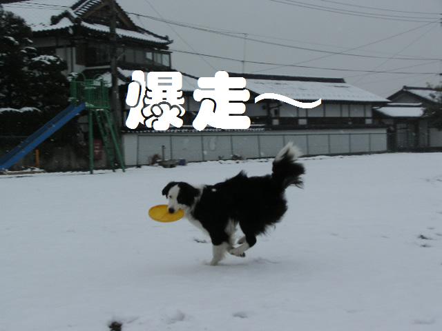 初雪７