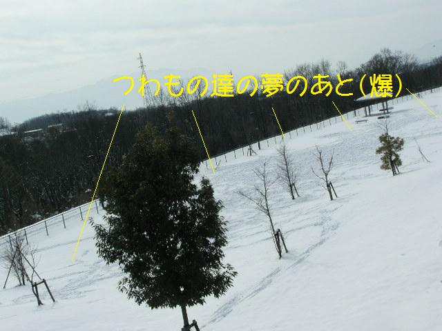 Ｆ公園雪１０