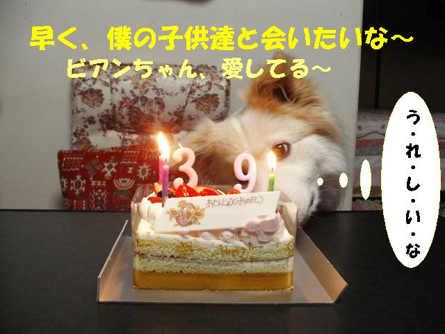 パピー誕生３