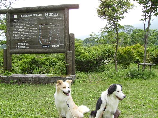 妙高高原