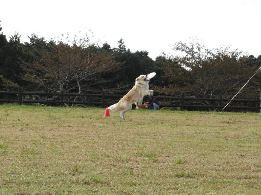 大淵公園チェル２