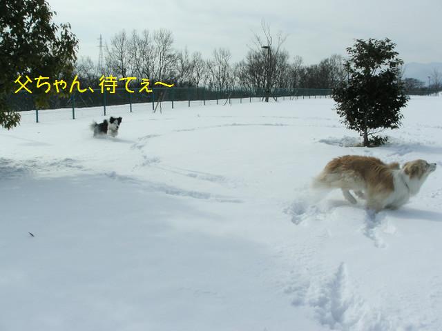 Ｆ公園雪３