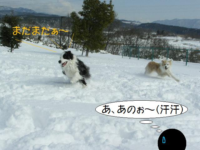 Ｆ公園雪６