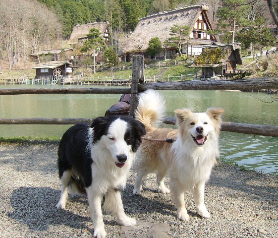 飛騨の里１