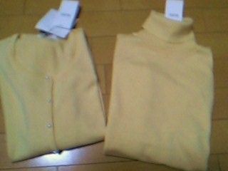 RINのお買い物リスト