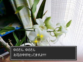 キラキラ光るものが・・・