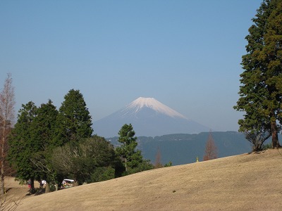 da fuji