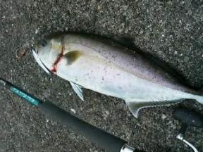 07.07.24かんぱち