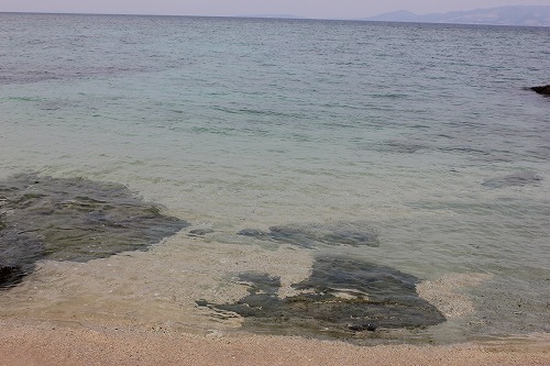 沖縄の海