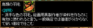 鳥類の羽毛