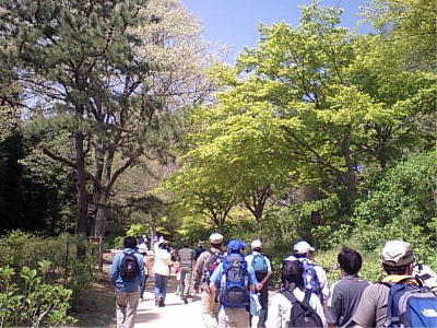 神戸市立森林植物園を出発