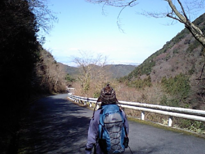 和泉葛城山からの下山道