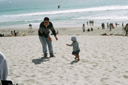 02_Carmel_beach1.jpg