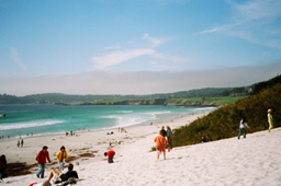 03_Carmel_beach2.jpg