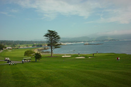 05_Pebble_beach.jpg