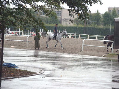 雨でも乗馬レッスン