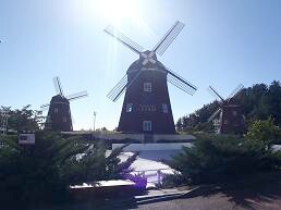 オールイン ｽﾖﾝがｲﾅにｵﾙｺﾞｰﾙをあげた風車前のベンチ.JPG