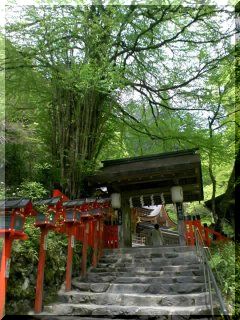 どこなの？（T_T) 。。。