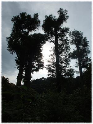 鎌倉散歩（浄妙寺7）.jpg