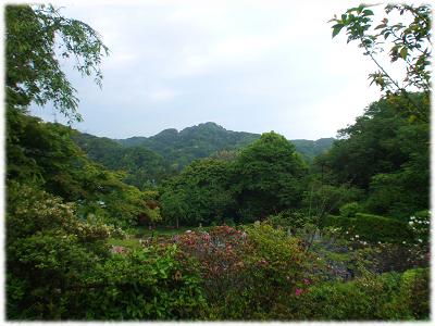 鎌倉散歩（浄妙寺8）.jpg