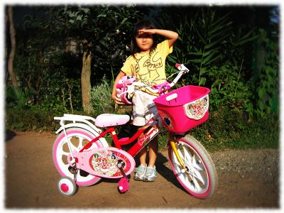 姪っ子、自転車をゲット2.jpg