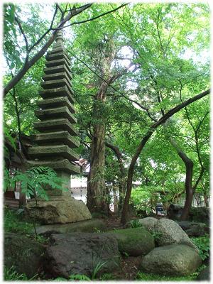 鎌倉散歩（覚園寺4）.jpg