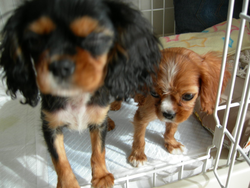 DSCN0628.JPG