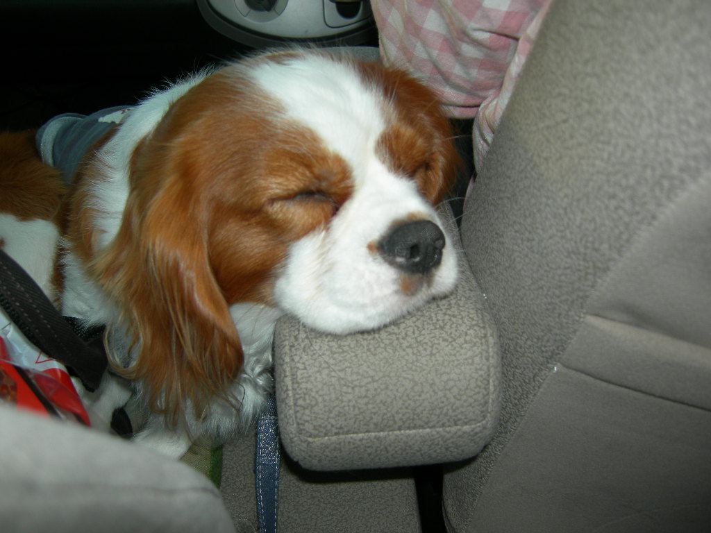 DSCN2489.JPG