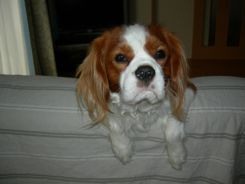DSCN1232.JPG