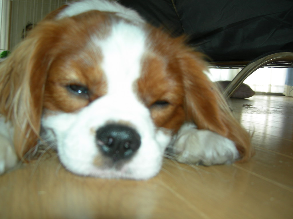 DSCN0879.JPG
