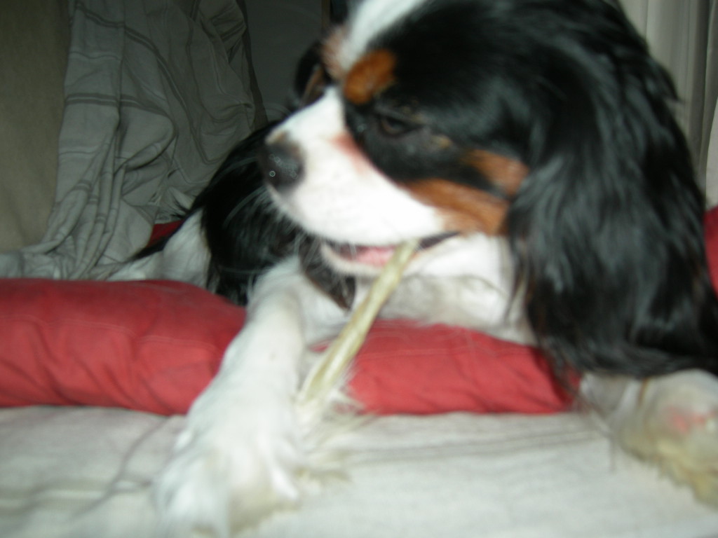 DSCN2620.JPG