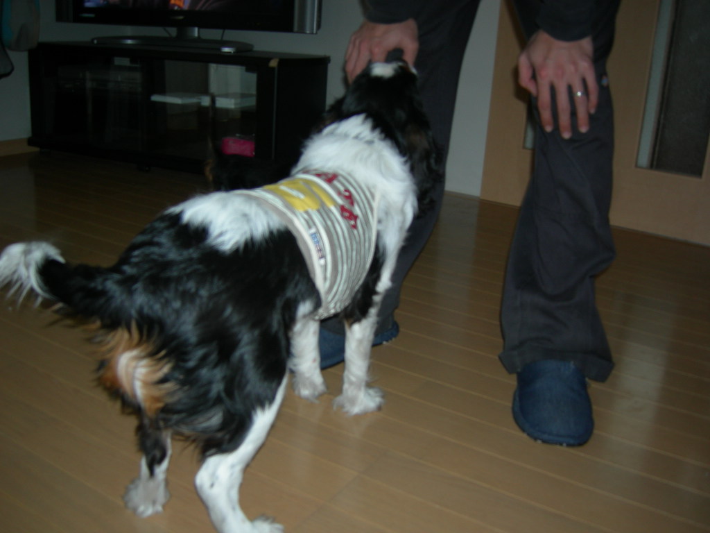 DSCN1112.JPG