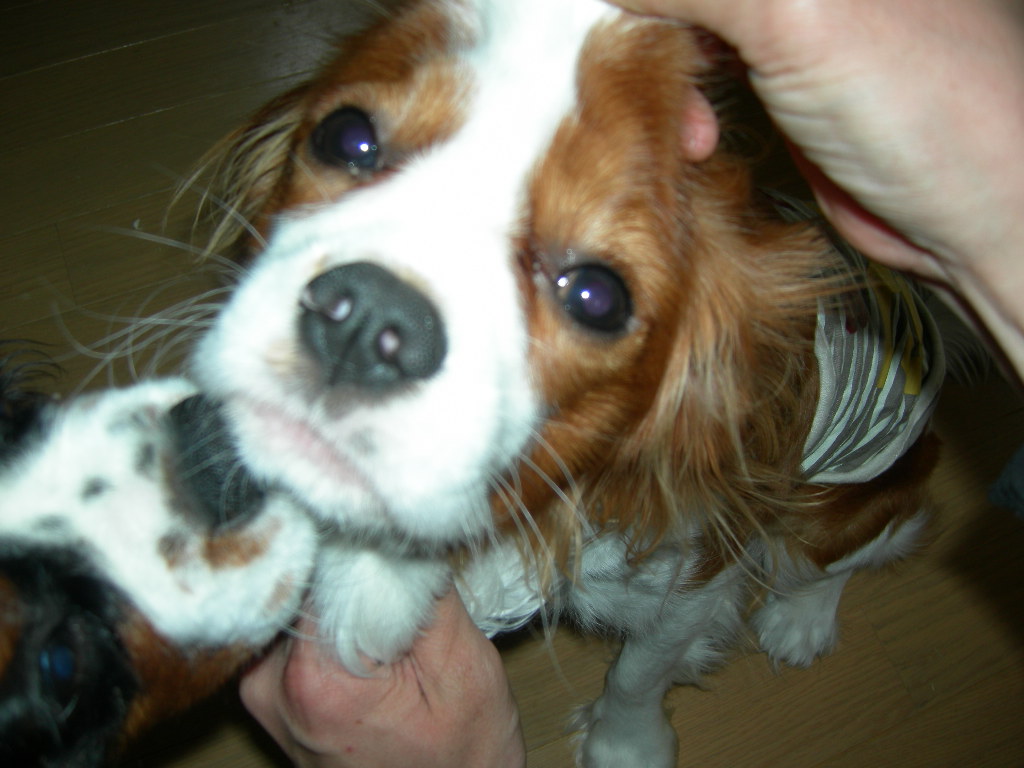 DSCN1125.JPG