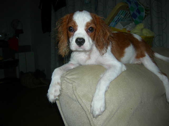 DSCN3877.JPG