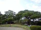 兼六園２.JPG