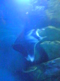 2007-11-13 19:17:55