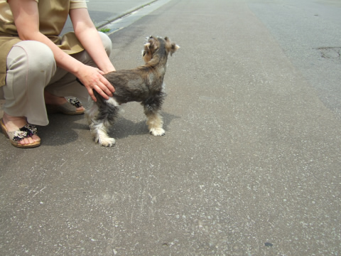 外のハヤト・・・後姿