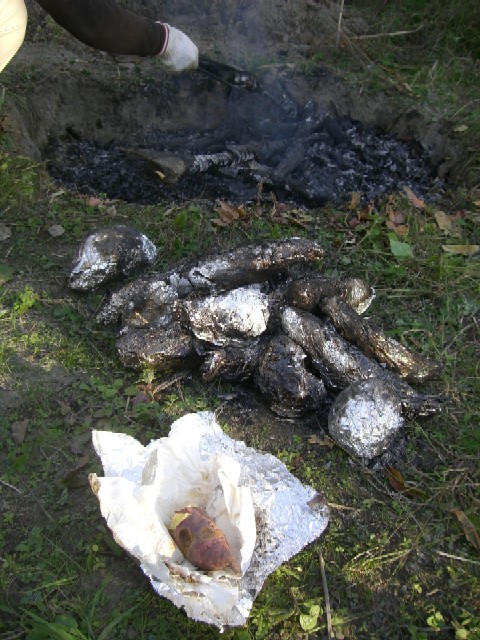 焼き芋.JPG